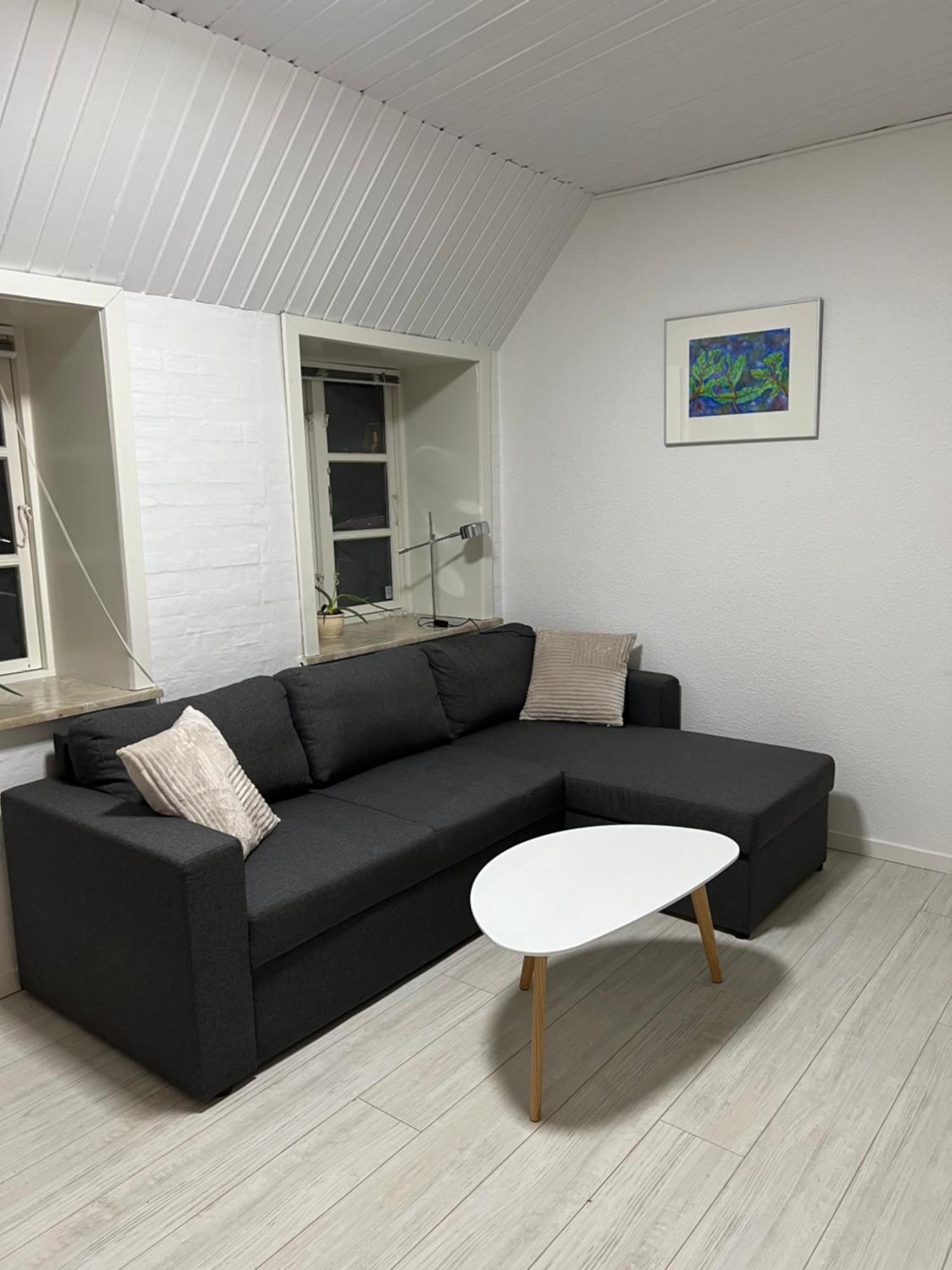 Apartment With Wifi, Close To City Center, Beach And Forrest Aabenraa Ngoại thất bức ảnh
