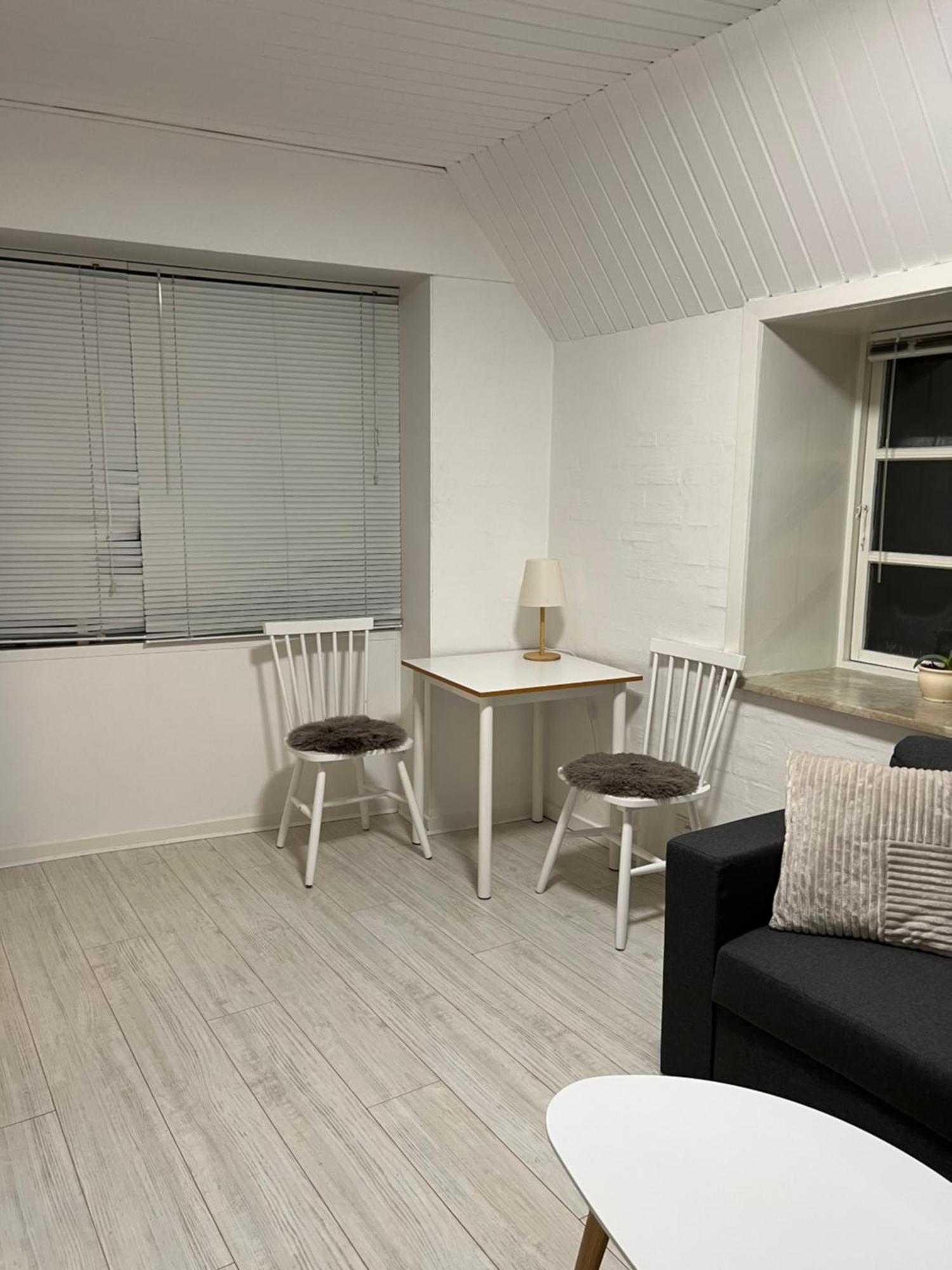 Apartment With Wifi, Close To City Center, Beach And Forrest Aabenraa Ngoại thất bức ảnh